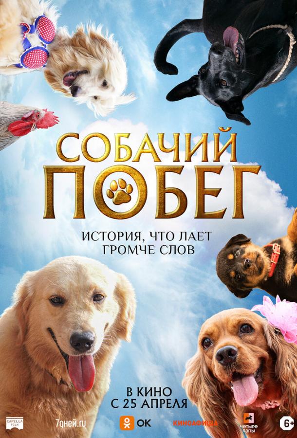 Фильм Собачий побег (2023) смотреть онлайн бесплатно в хорошем качестве